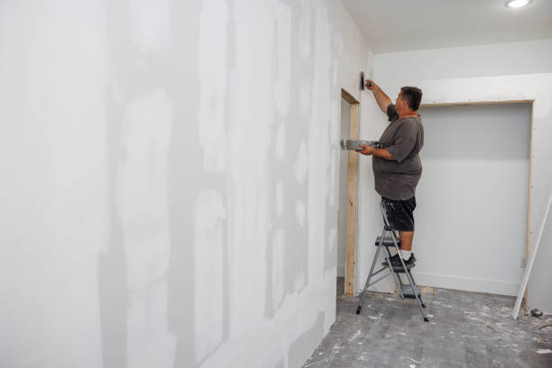 Best Wallpaper Removal and Painting  in Castroville, TX